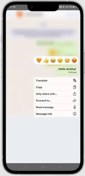 MB WhatsApp iOS 2